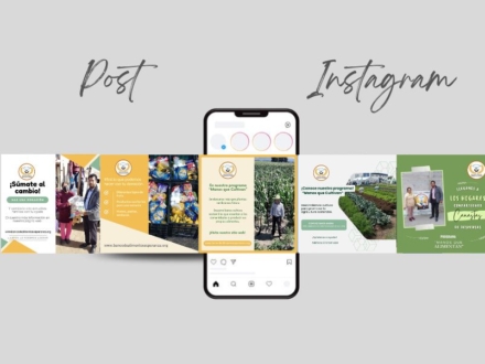 Banco de Alimentos Esperanza sin Hambre AC(2)