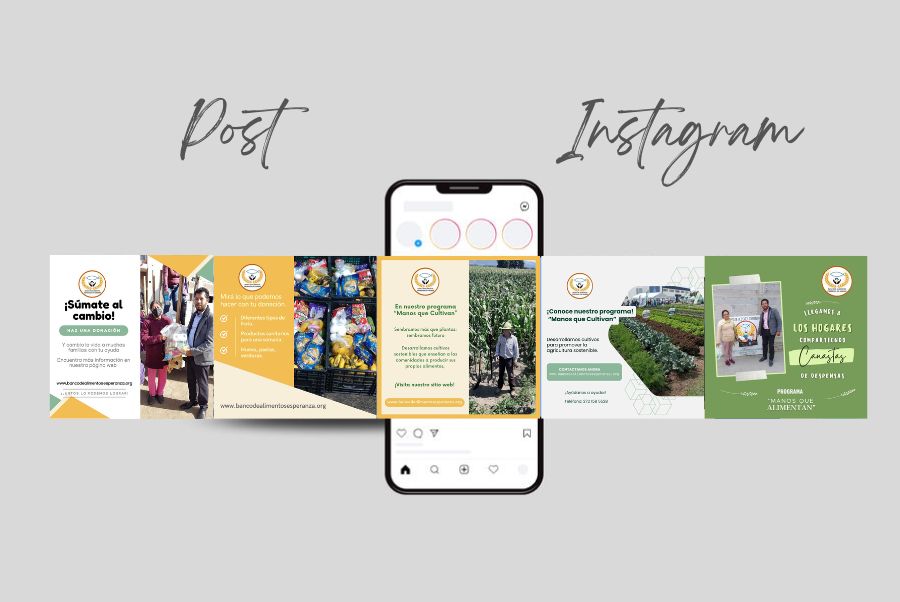 Banco de Alimentos Esperanza sin Hambre AC(2)